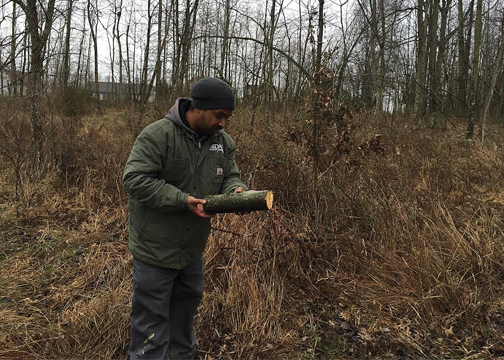ALB spot-training with the ALB Eradication Program in Bethel – The ...