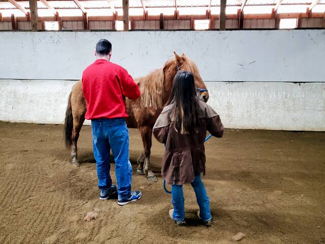 129513881_web1_20230401_104005_01
An Army veteran grooms a mustang under the watchful eye of a female Soullstang volunteer. The art of proper grooming and its related techniques was one of the first hands on skills the veterans learned during the therapy session at the Alfwaress Stables in Amelia, Ohio. Photo courtesy Disabled American Veterans (DAV) Chapter #63 (Clermont County).